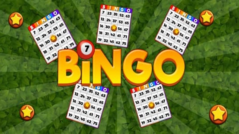 What's in the bingo plus spin game?