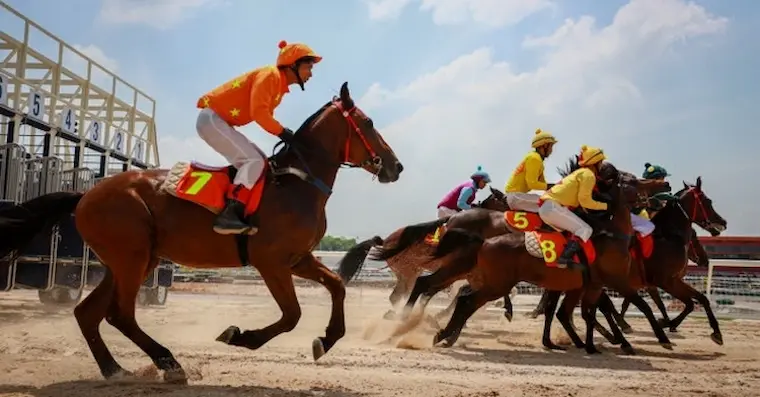 Introduction to Horse Racing Betting