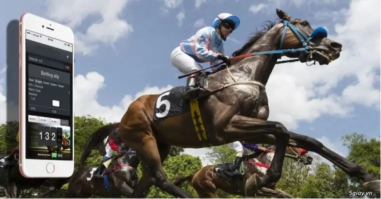 Horse Racing Betting Issues and Regulations