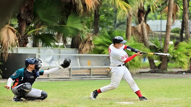 Baseball betting